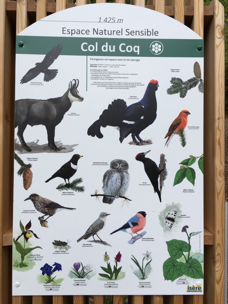 20170518-Col-du-Coq-05